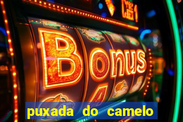 puxada do camelo jogo do bicho